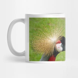 Crowned crane bird Mug